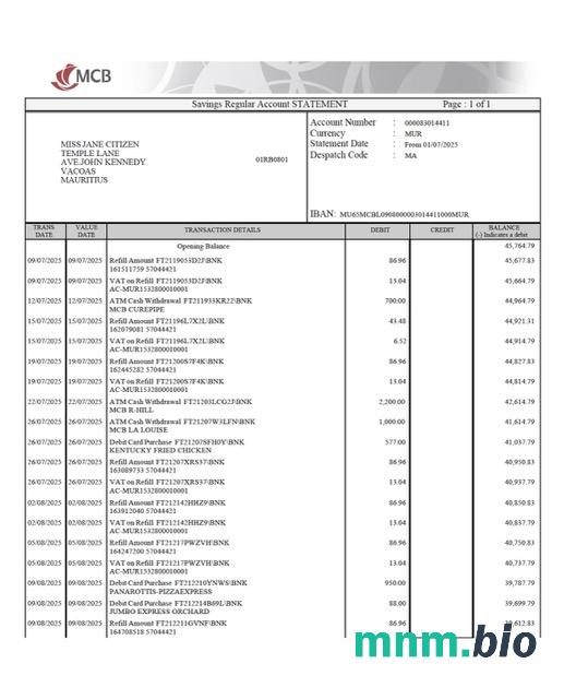 Szablon wyciągu bankowego Mauritius Bank of Boroda w programie Word i PDF